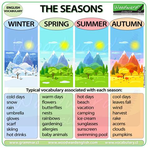 4 Seasons Winter Brabet