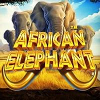 African Elephant Sportingbet