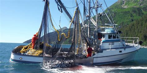 Alasca A Pesca Do Casino