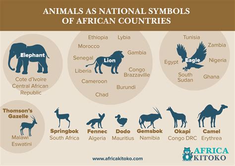 Animals Of Africa Bet365