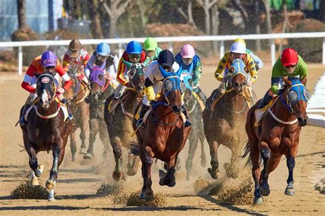 Apostas Em Corridas De Cavalos Brasilia