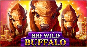 Big Wild Buffalo Betfair