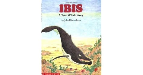 Book Of Ibis Brabet