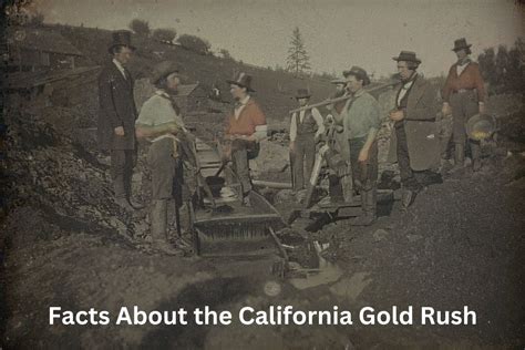 California Gold Rush Netbet