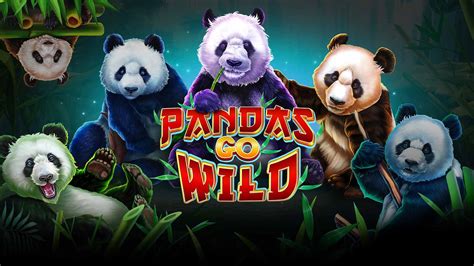 Cash Pandas Bodog