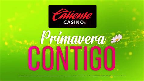 Casino Primavera Pharr