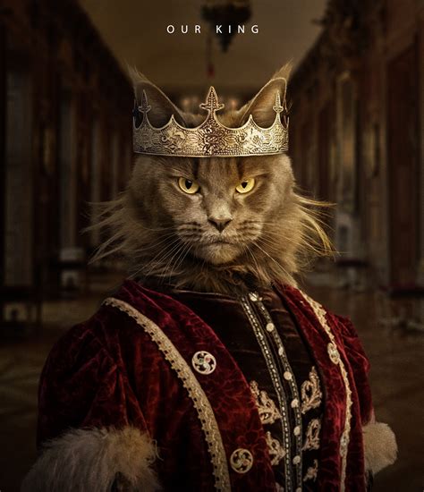 Cats Royal Betano