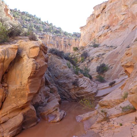 Cottonwood Slot Canyon