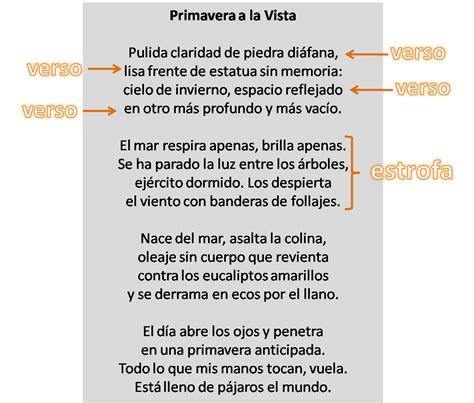 Craps Poema