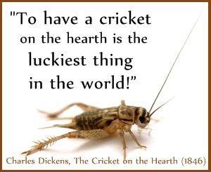 Cricket S Luck Betsul
