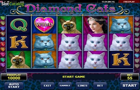 Diamond Cats Brabet