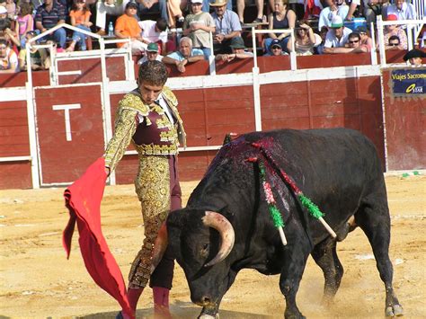 El Torero Brabet