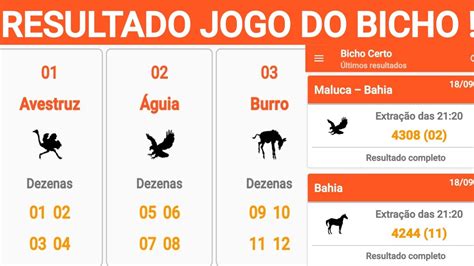 Jogo Do Bicho Blaze