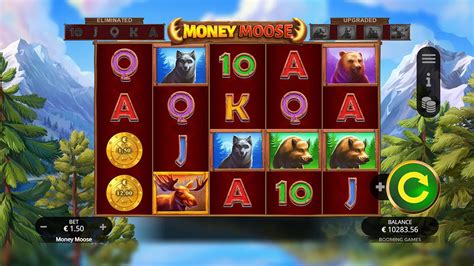 Money Moose Netbet