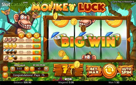 Monkey Luck Brabet