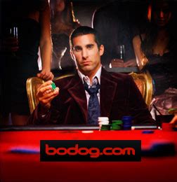 Rage To Riches Bodog