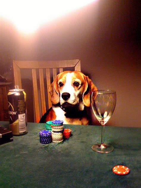Regal Beagle Poker