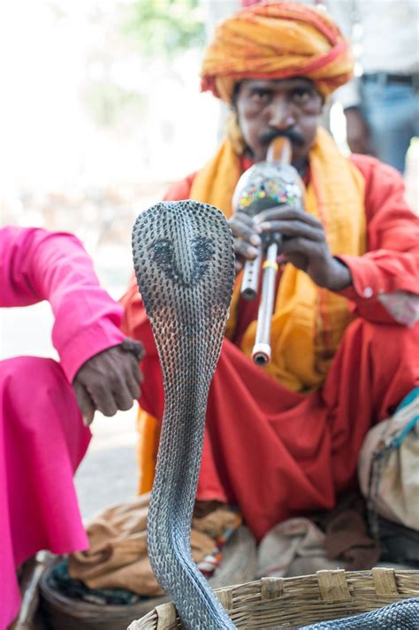 The Snake Charmer Parimatch