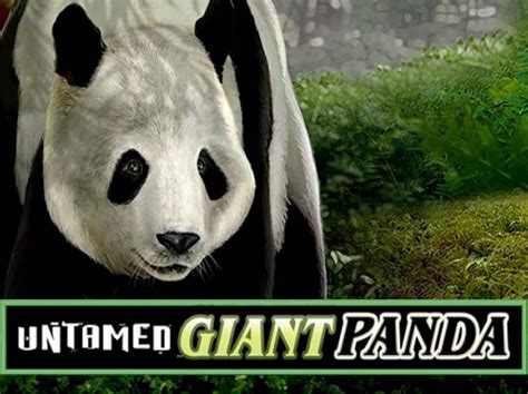 Untamed Giant Panda Bwin