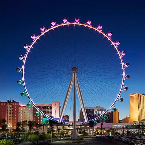 Vegas High Roller Bet365