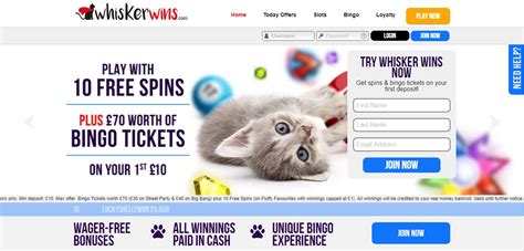 Whisker Wins Casino Apostas