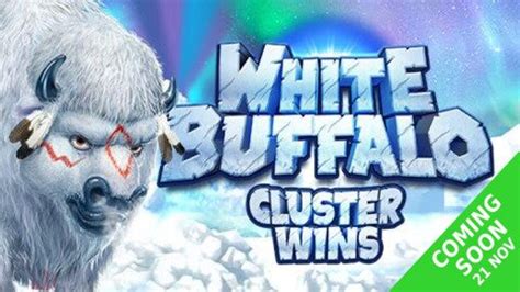 White Buffalo Cluster Wins Bodog