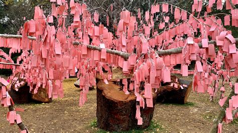 Wishing Tree Parimatch