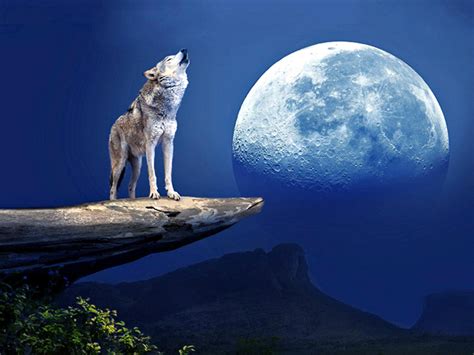 Wolf Moon Betsul