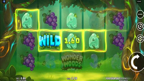 Wonder Woods Review 2024